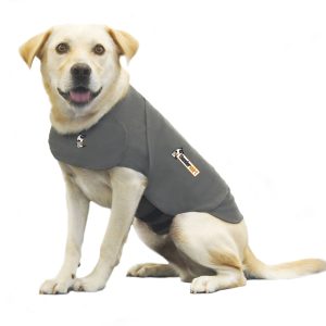 Thundershirt For Dogs