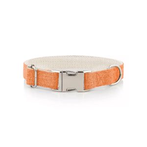 Tangy orange Dog collar (organic hemp & cotton)
