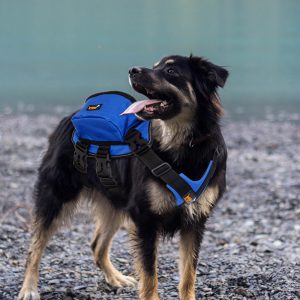 Reflective Outdoor Hiking Dog Backpack Harness-Sapphire Blue L